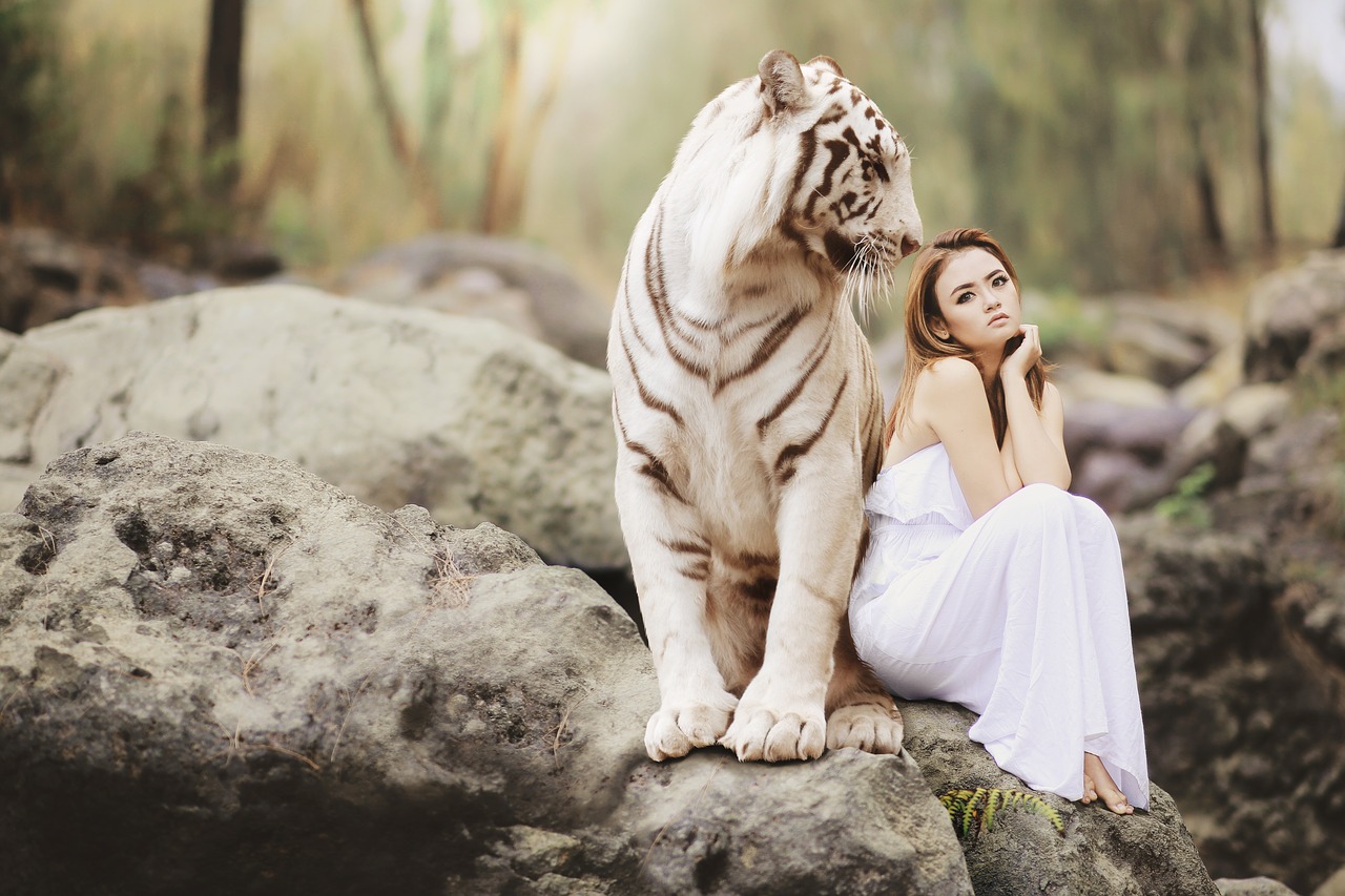 Tigers attraction and soulmates