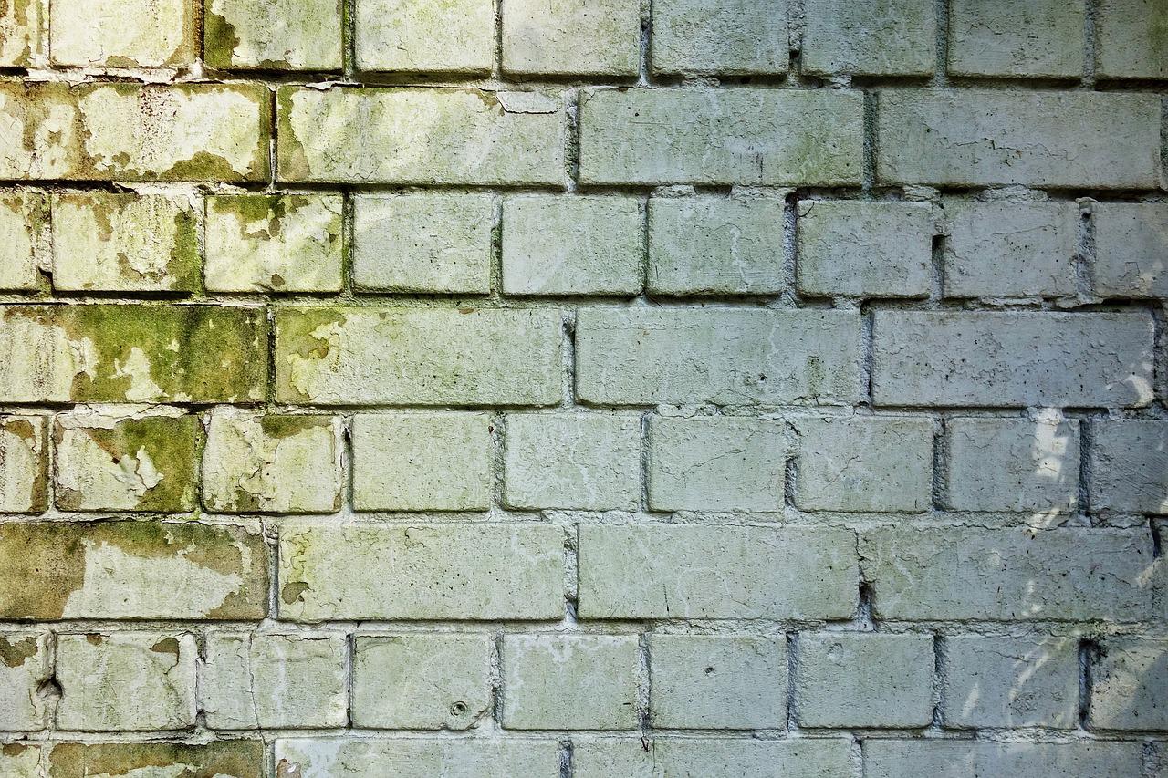 brick-wall-g12323c61a_1280